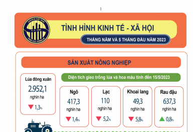 [Infographic] Tình hình kinh tế - xã hội tháng 5 và 5 tháng đầu năm 2023