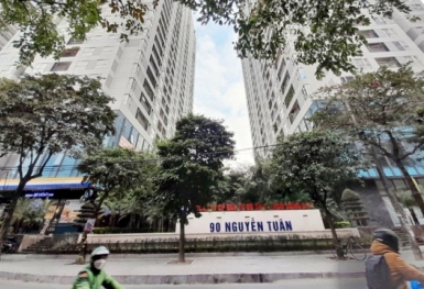 Lĩnh vực bất động sản của Tổng Công ty Vận tải Hà Nội hoạt động như thế nào?
