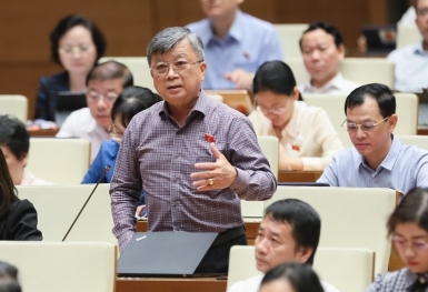 Haprosimex nợ BHXH hơn 10 năm: ĐBQH nói “Chúng ta không thể bất lực như vậy”