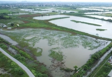 Hà Đông (Hà Nội): Khu nhà ở sinh thái Đồng Mai hơn 15 năm vẫn chưa thành hình