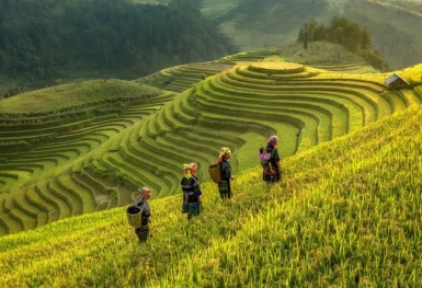 Mù Cang Chải (Yên Bái): Phê duyệt quy hoạch khu đô thị nghỉ dưỡng 130 ha