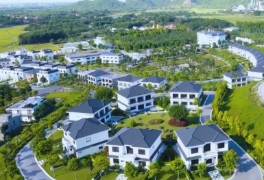Công ty CP Đô thị Sinh thái Dầu khí Hòa Bình nợ thuế hơn 1.000 tỷ đồng