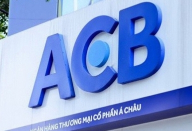Công ty Hồng Hoàng liên quan Ngân hàng ACB: Vốn 5 tỷ đồng, phát hành 1.402 tỷ đồng trái phiếu lãi suất cao ngất...