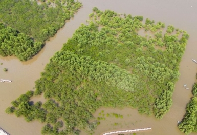 Thái Bình muốn 'xóa' hơn 11.000 ha khu bảo tồn thiên nhiên để làm KĐT, nghỉ dưỡng, sân golf