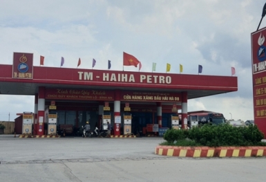 Thái Bình: Công ty TNHH Vận tải thủy bộ Hải Hà nợ thuế trên 1.736 tỷ đồng