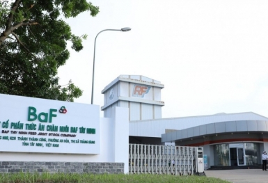BaF Việt Nam muốn phát hành thêm hơn 68 triệu cổ phiếu