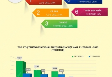 Infographic: Xuất khẩu thủy sản của Việt Nam 8 tháng đầu năm 2023