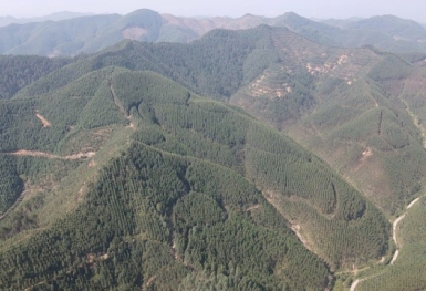 Lộ diện nhà đầu tư duy nhất nộp hồ sơ thực hiện dự án siêu nghĩa trang tại Bắc Giang