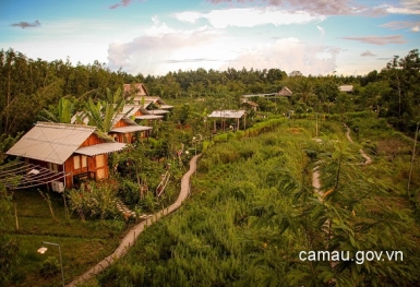 Về Cà Mau khám phá khu du lịch sinh thái Hoa Rừng U Minh