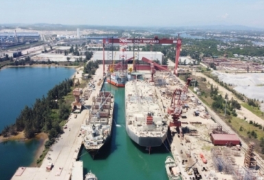 Doanh thu 3 quý đầu năm 2023 của DQS tăng 25% so với cùng kỳ