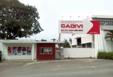 Dây Cáp điện Việt Nam bị phạt và truy thu hơn 1 tỷ đồng tiền thuế
