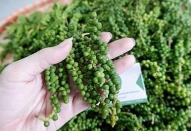 Giá tiêu hôm nay 23/11: Tiếp tục tăng