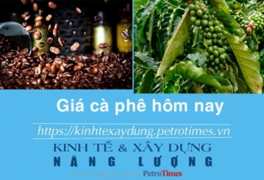 Giá cà phê hôm nay 24/11: Thị trường trong nước hồi phục nhẹ