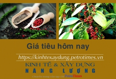 Giá tiêu hôm nay 25/11: Đi ngang tại thị trường nội địa