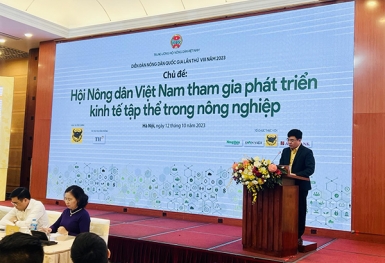 Giải bài toán thiếu vốn của HTX bằng cách nào?