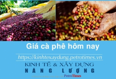 Giá cà phê hôm nay 30/11: Thị trường trong nước tăng nhẹ