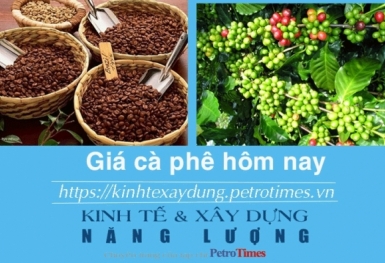 Giá cà phê hôm nay 1/12: Thị trường trong nước tăng mạnh