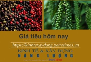 Giá tiêu hôm nay 1/12: Tiếp đà tăng