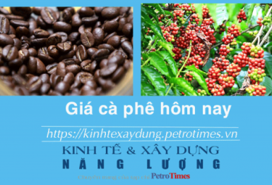 Giá cà phê hôm nay 4/12: Liệu Robusta có tiếp tục tăng?