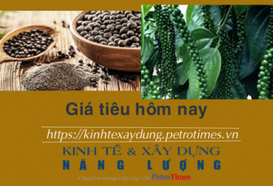Giá tiêu hôm nay 4/12: Đồng loạt lặng sóng