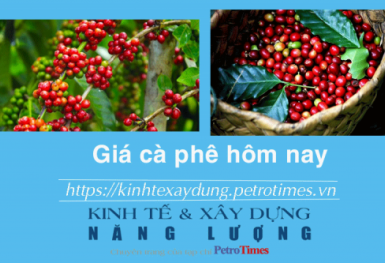 Giá cà phê hôm nay 7/12: Tăng mạnh, vượt mốc 60.000 đồng