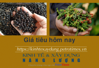Giá tiêu hôm nay 7/12: Các tỉnh trọng điểm tiếp đà tăng