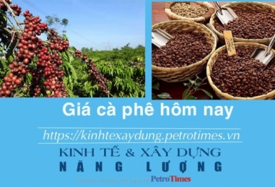 Giá cà phê hôm nay 8/12: Tiếp đà tăng mạnh