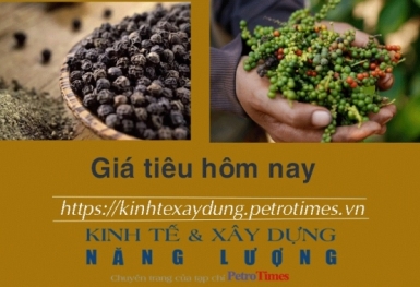 Giá tiêu hôm nay 10/12: Duy trì đà tăng