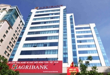 Tin ngân hàng ngày 11/12: Agribank đấu giá khoản nợ xấu hơn 350 tỷ đồng của Công ty Lắp máy Miền Nam