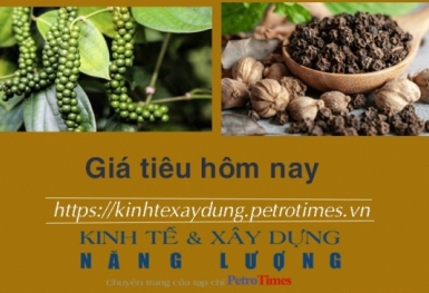 Giá tiêu hôm nay 12/12: Đồng loạt tăng