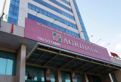 Agribank đấu giá gần 2,5 triệu cổ phần của một công ty đang làm thủ tục giải thể