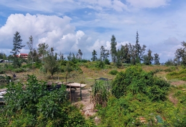 Công ty Cổ phần Lê Phan Resort xin tỉnh Quảng Nam miễn nộp tiền thuê đất trong 2 năm