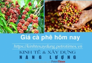 Giá cà phê hôm nay 15/12: Tăng mạnh phiên thứ tư liên tiếp
