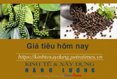Giá tiêu hôm nay 15/12: Tăng mạnh ở Đắk Lắk, Đắk Nông
