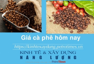 Giá cà phê hôm nay 16/12: Nối dài chuỗi tăng