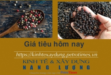 Giá tiêu hôm nay 16/12: Tăng ngày thứ 5 liên tiếp