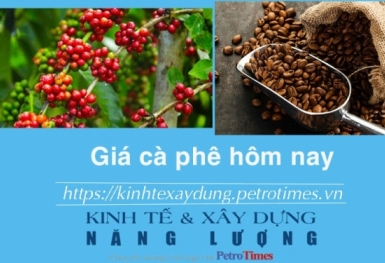 Giá cà phê hôm nay 17/12: Thị trường trong nước vững đà tăng