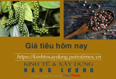 Giá tiêu hôm nay 17/12: Tăng mạnh 3.000 đồng