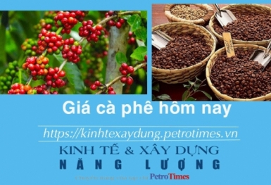 Giá cà phê hôm nay 20/12: Quay đầu giảm