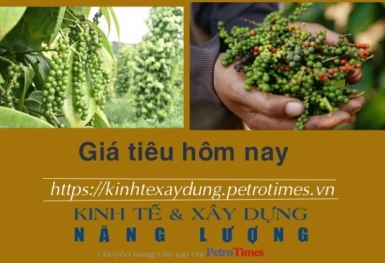 Giá tiêu hôm nay 21/12: Giảm mạnh