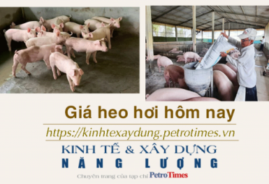 Giá heo hơi hôm nay 25/12: Đi ngang trên diện rộng