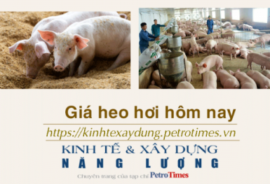 Giá heo hơi hôm nay 26/12: Tăng rải rác ở cả ba miền