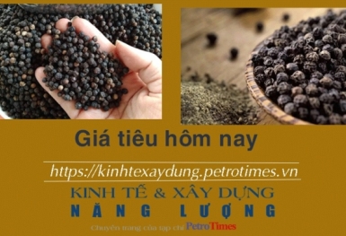 Giá tiêu hôm nay 26/12: Điều chỉnh tăng