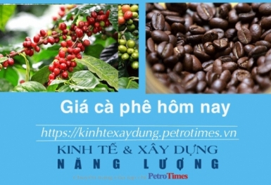 Giá cà phê hôm nay 27/12: Thị trường trong nước ổn định