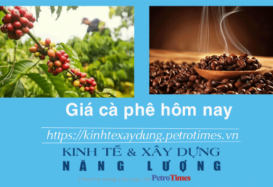 Giá cà phê hôm nay 29/12: Thị trường trong nước tăng cao