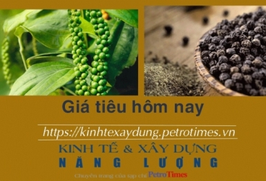 Giá tiêu hôm nay 29/12: Chấm dứt chuỗi ngày tăng