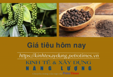 Giá tiêu hôm nay 30/12: Quay đầu giảm