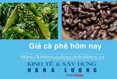 Giá cà phê hôm nay 1/1: Cao nhất ở mức 68.200 đồng/kg