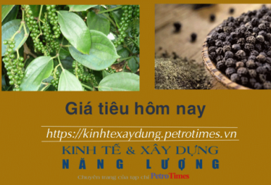 Giá tiêu hôm nay 1/1: Giữ ổn định