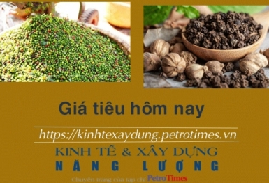 Giá tiêu hôm nay 4/1: Tăng phiên thứ hai liên tiếp